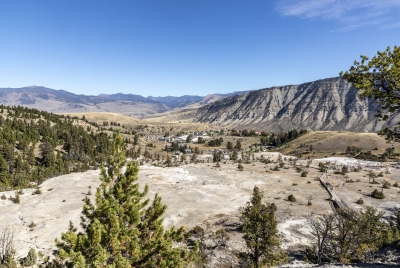 Mammoth Yellowstone NP 2024